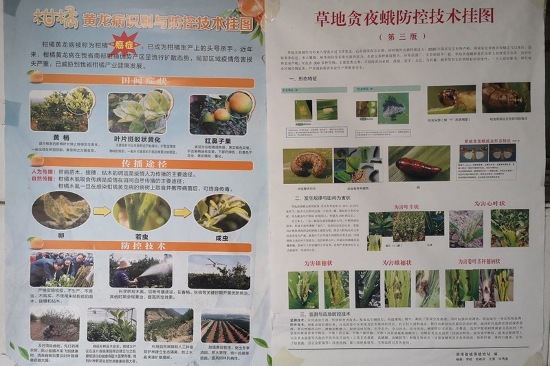 口语.jpg
